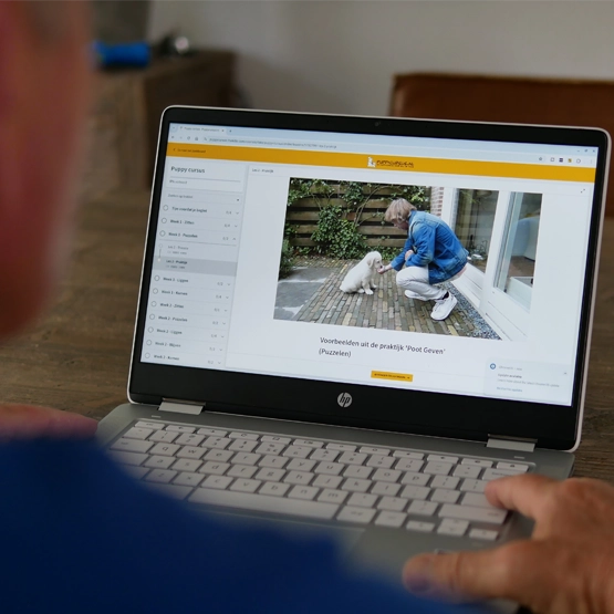 Online Puppy Cursus (Van pup tot volwassen hond)