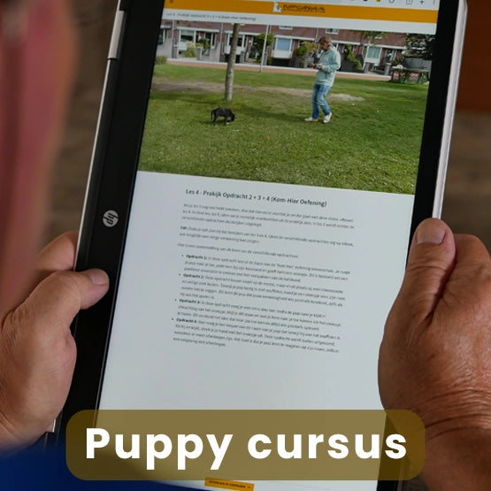 Online Puppy Cursus (Van pup tot volwassen hond)