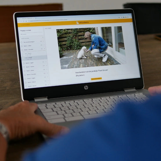 Online Puppy Cursus (Van pup tot volwassen hond)