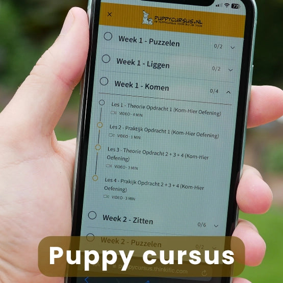 Online Puppy Cursus (Van pup tot volwassen hond)