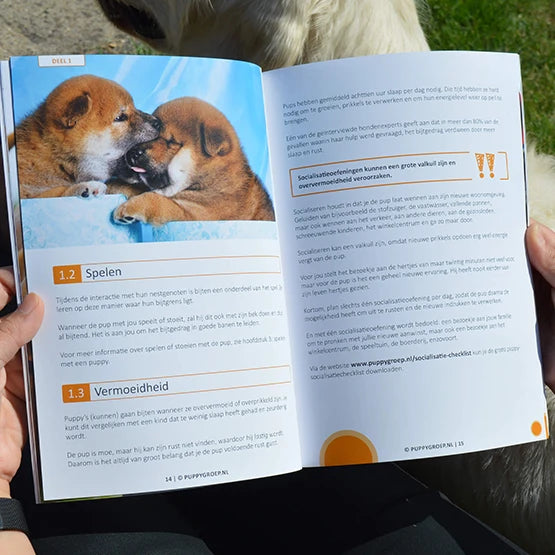 Puppy cursus + 4 fysieke boeken (combi deal)