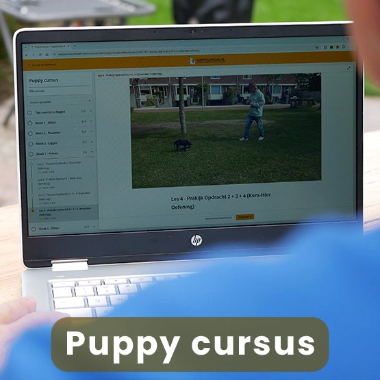 Puppy cursus + 4 luisterboeken (combi deal)