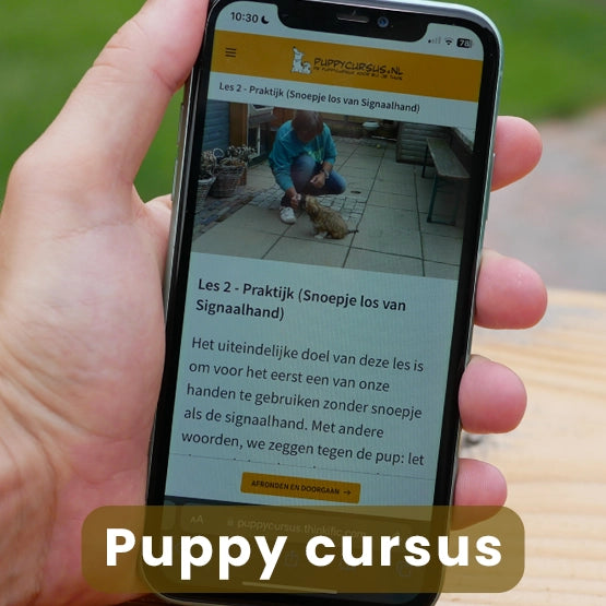 Puppy cursus + 4 luisterboeken (combi deal)