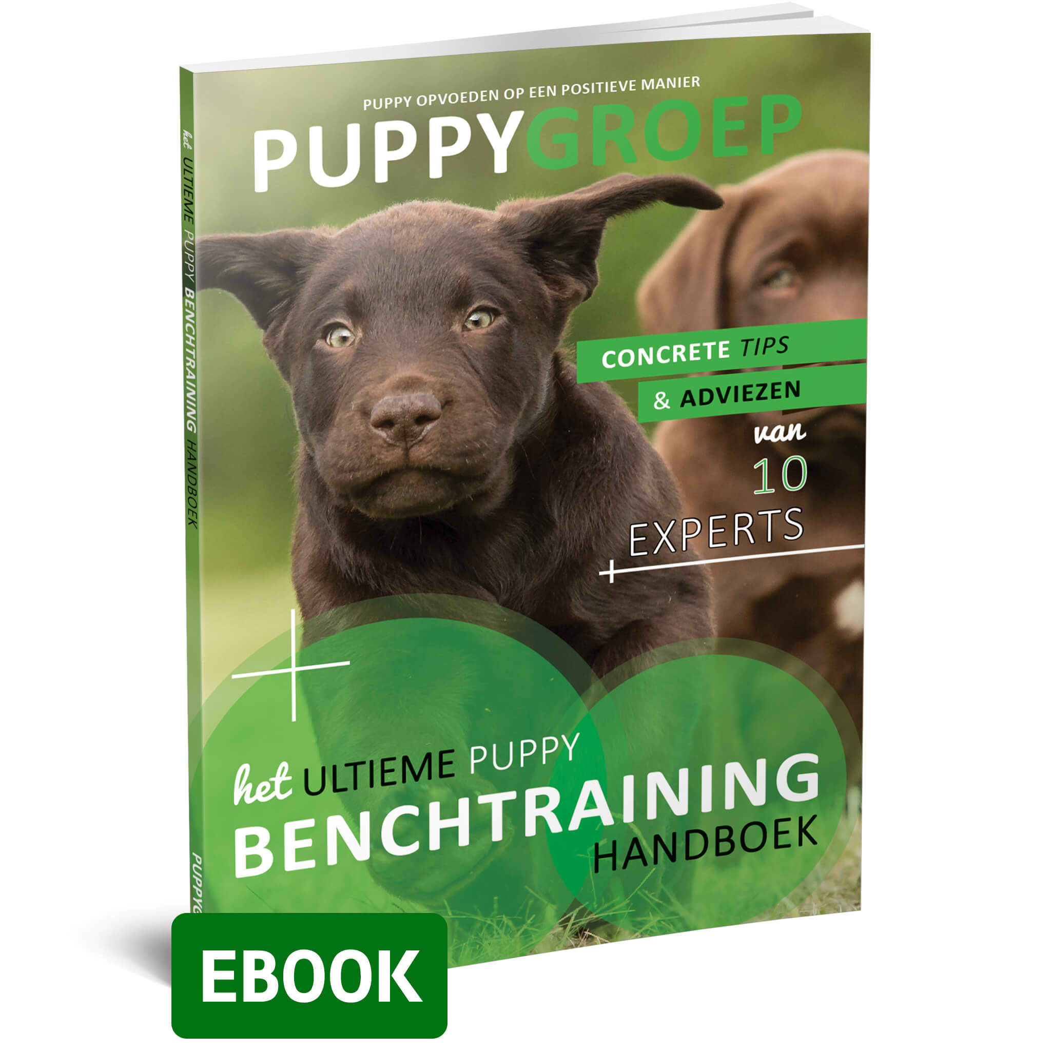 Het Ultieme Puppy Benchtraining Handboek (ebook)