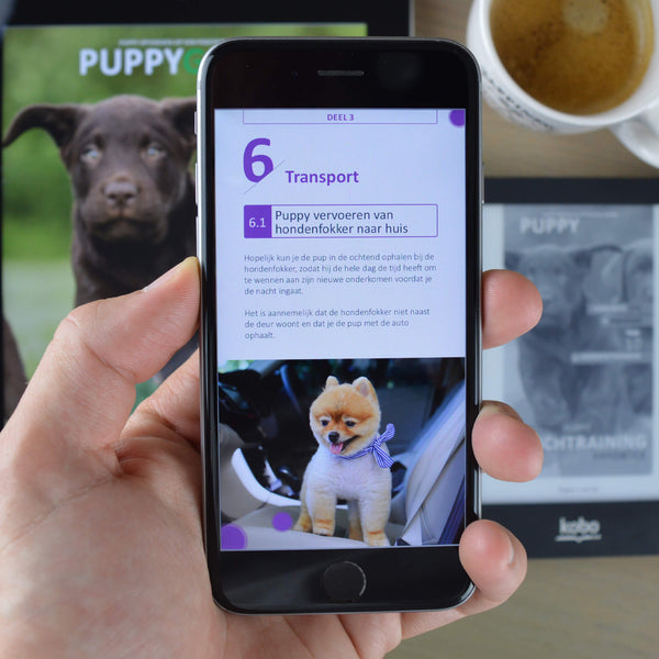 Deel 3 - Benchtraining voor een evenwichtige pup