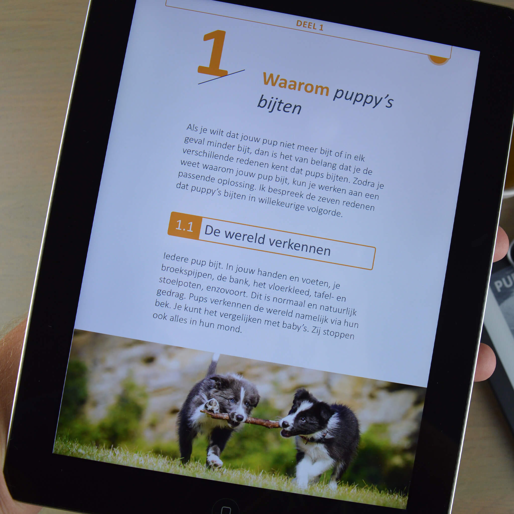 Het Ultieme Puppy Bijten Afleren Handboek (ebook)