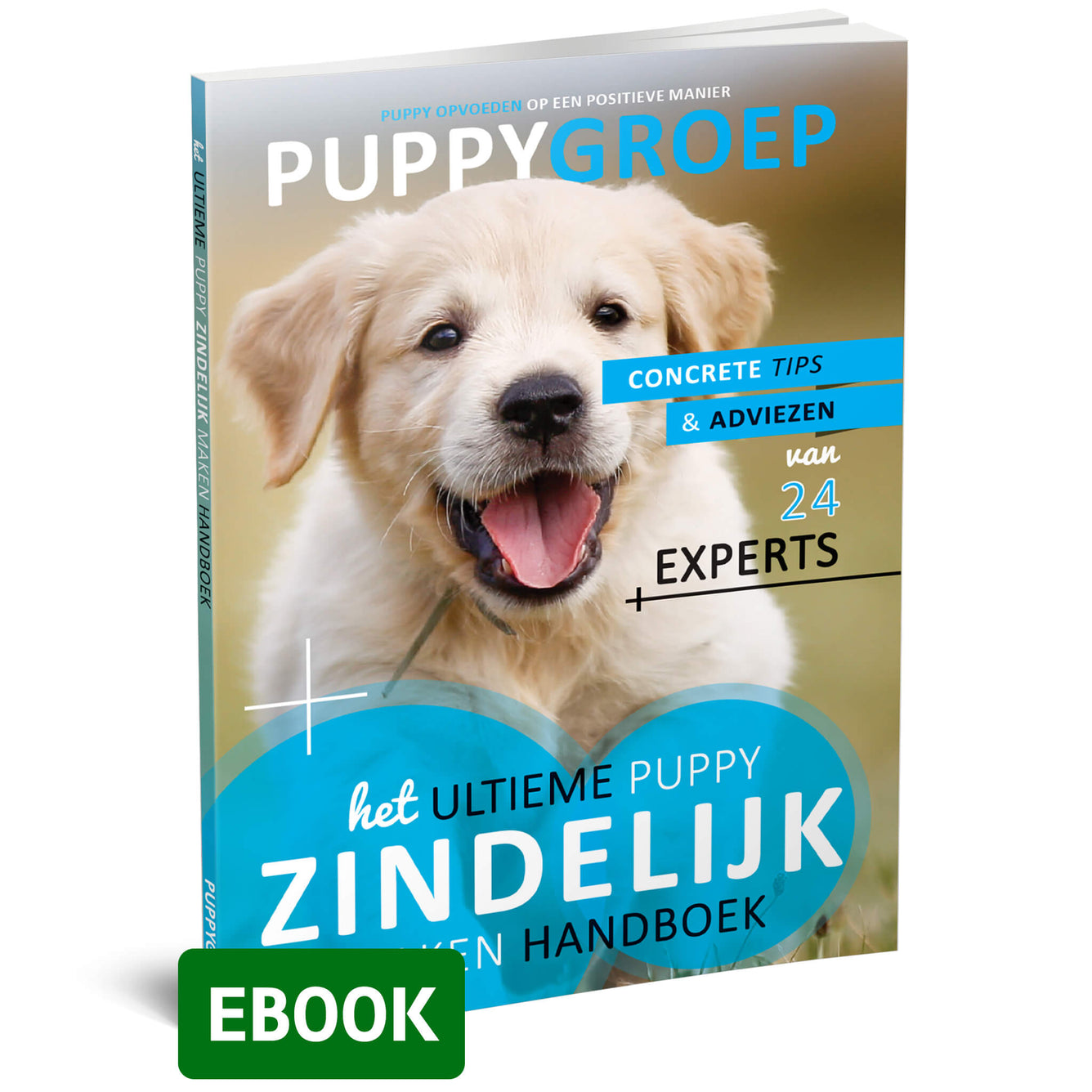 Het Ultieme Puppy Zindelijk Maken Handboek (ebook)
